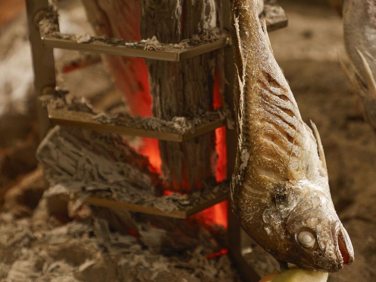 原始焼イメージ季節の鮮魚を炭火で♪