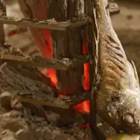 ภาพลักษณ์การย่างแบบดั้งเดิม ปลาเนื้อสดตามฤดูกาลย่างด้วยถ่านไม้♪