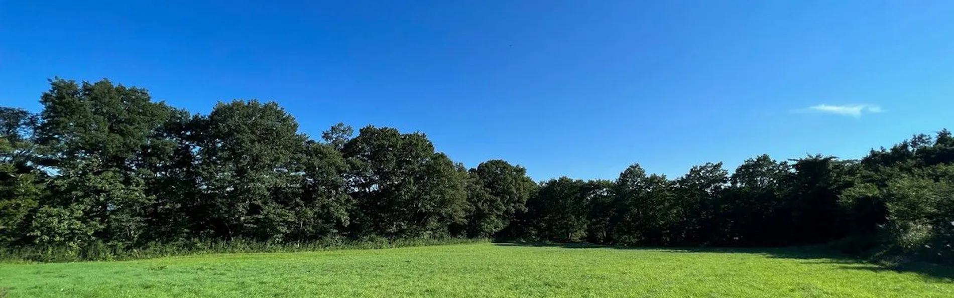 空の庭 リゾート