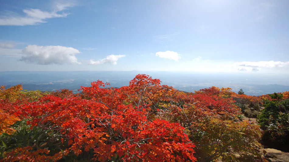 Sora no Niwa Resort