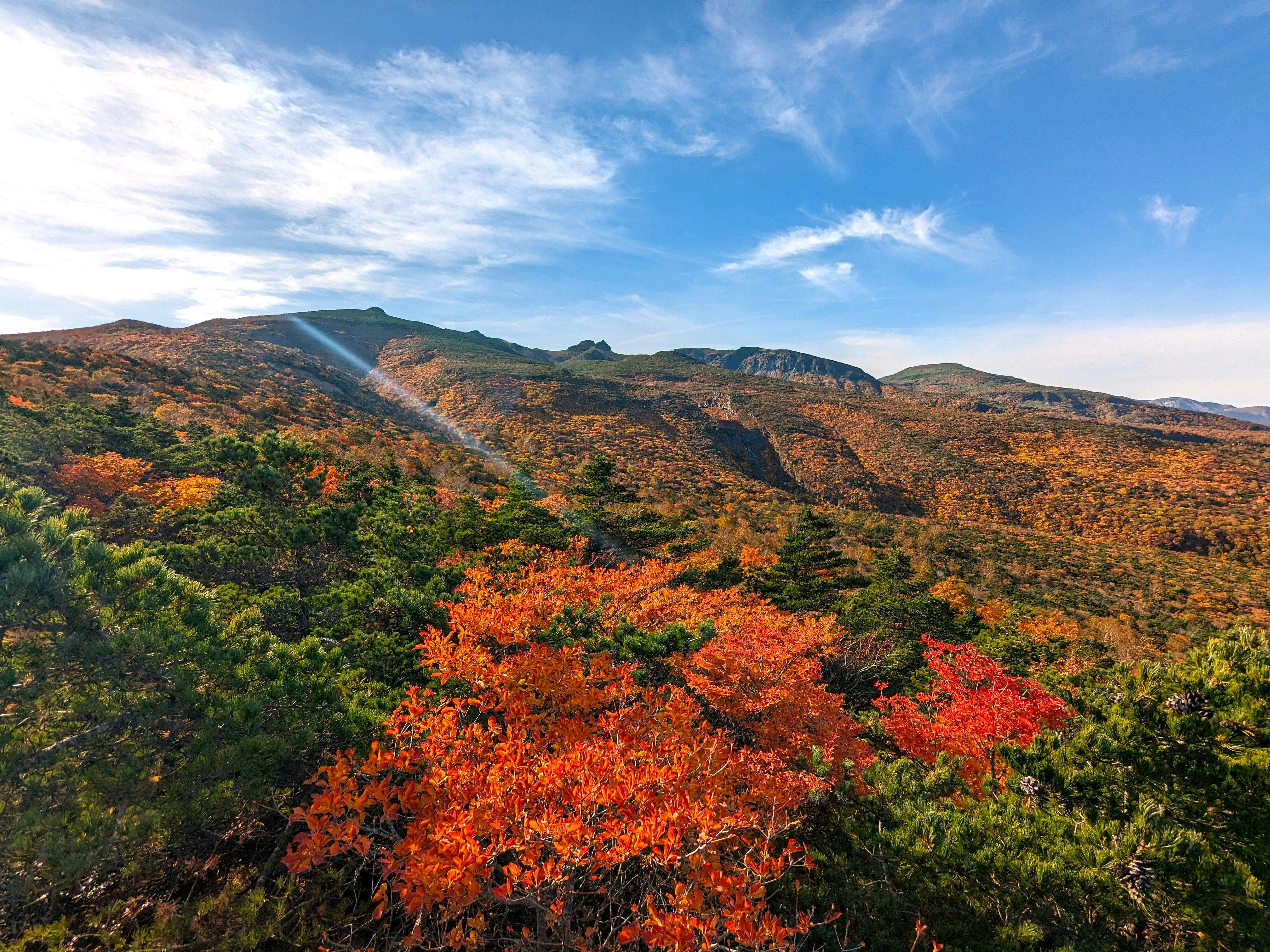 空の庭 リゾート