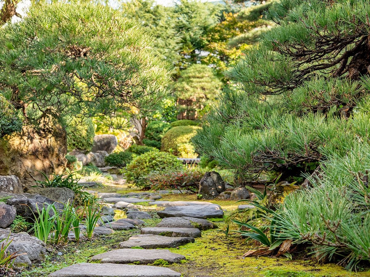 *【สวนญี่ปุ่น】เพลิดเพลินกับทิวทัศน์ในแต่ละฤดูกาล