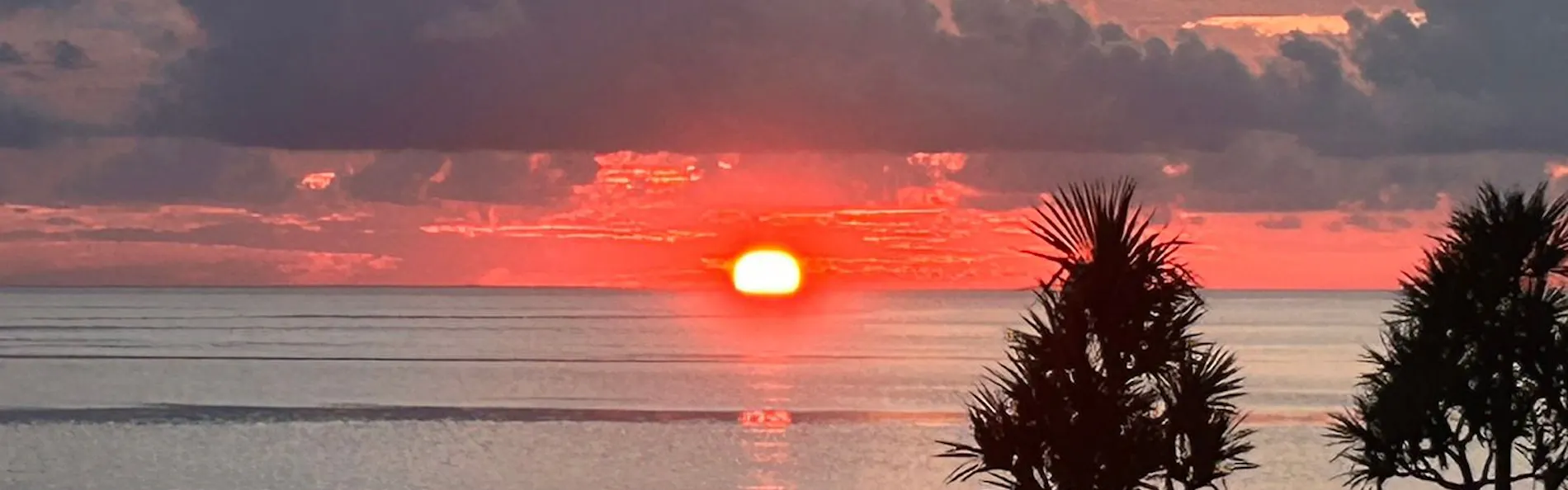 石垣シーサイドホテル