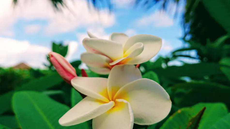 Ishigaki Seaside Hotel