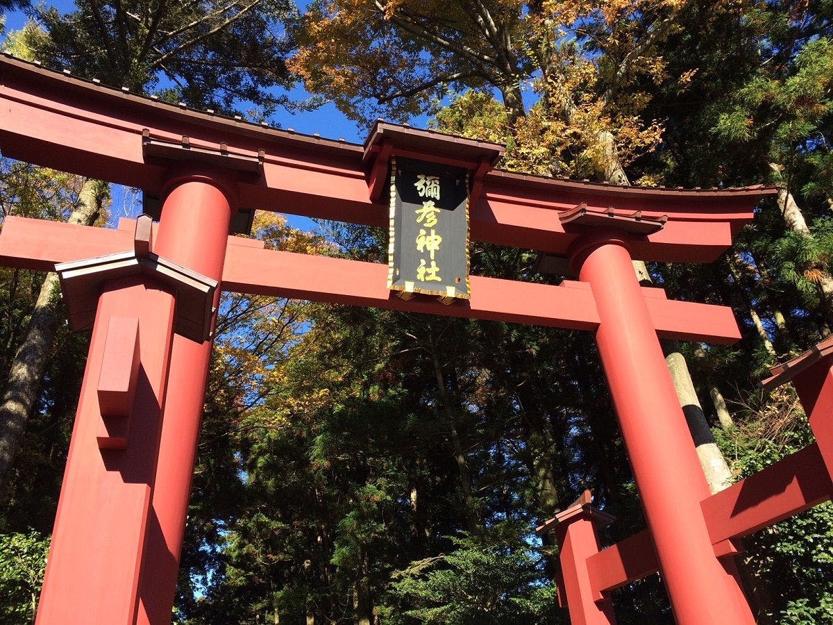 彌彦神社の一の鳥居