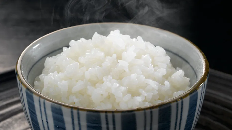 Yahiko Onsen Shiki no Yado Minoya