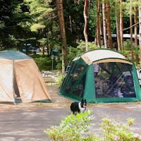 秋保リゾートホテルクレセント の空室状況を確認する 宿泊予約は 一休 Com キラリト 秋保リゾートホテルクレセント の空室状況を確認する 宿泊予約は 一休 Com キラリト