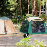 秋保森林スポーツ公園内のキャンプ場