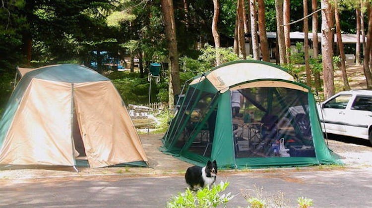 秋保リゾートホテルクレセント の宿泊プラン 予約 Yahoo トラベル 秋保リゾートホテルクレセント の宿泊プラン 予約 Yahoo トラベル