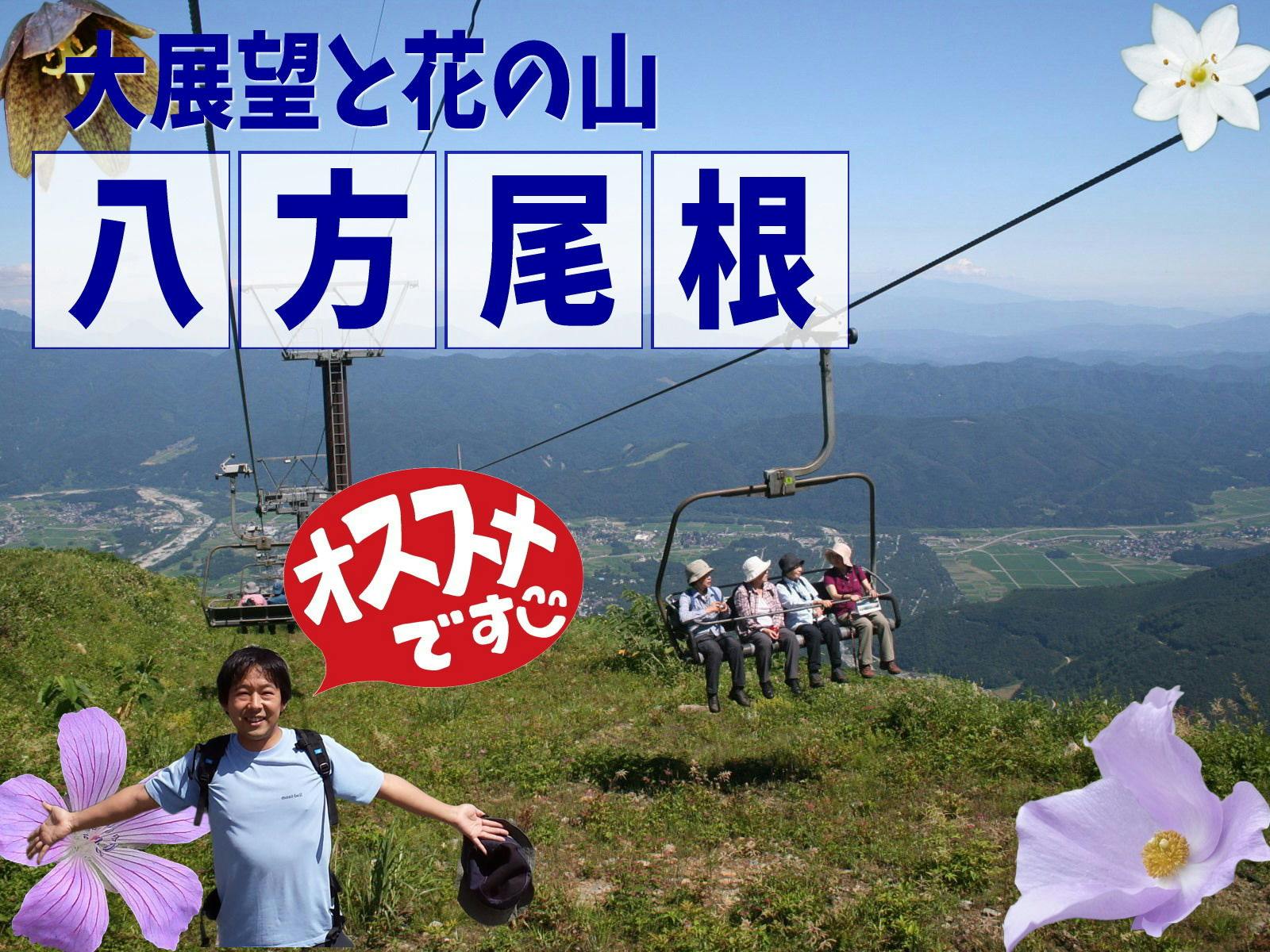 【八方アルペンライン往復券付】リフトで白馬の花と展望の山へ！雲上のトレッキングで深呼吸（2食付）