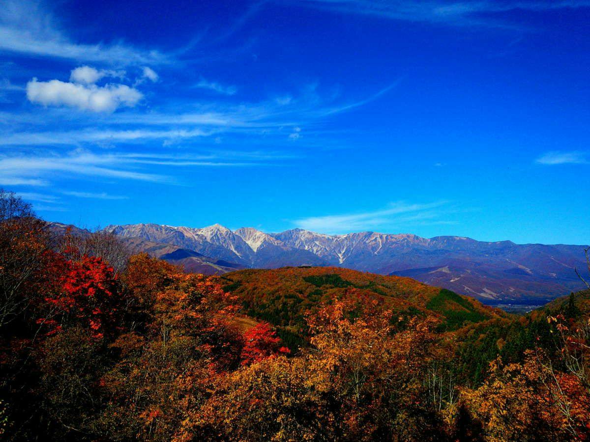 【八方アルペンライン往復券付】リフトで白馬の花と展望の山へ！雲上のトレッキングで深呼吸（2食付）