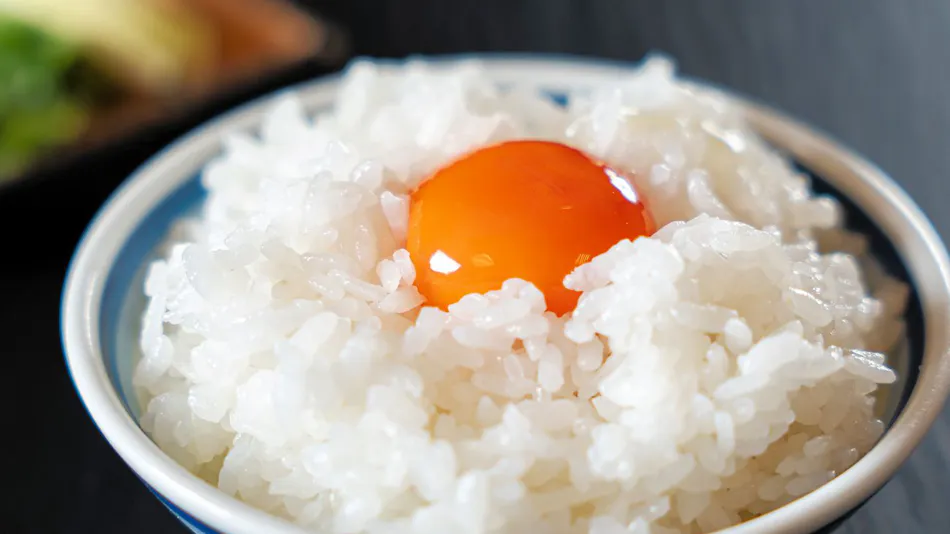 Wagokoro no Yado Omori