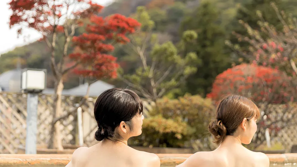 Wagokoro no Yado Omori