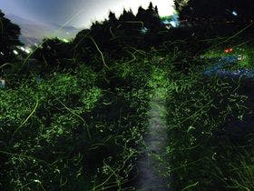 囲炉裏とくつろぎの宿　ホテルやまぶき