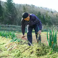 自社オーガニック農園