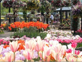 ロイヤルホテル 大山(旧:大山ロイヤルホテル)