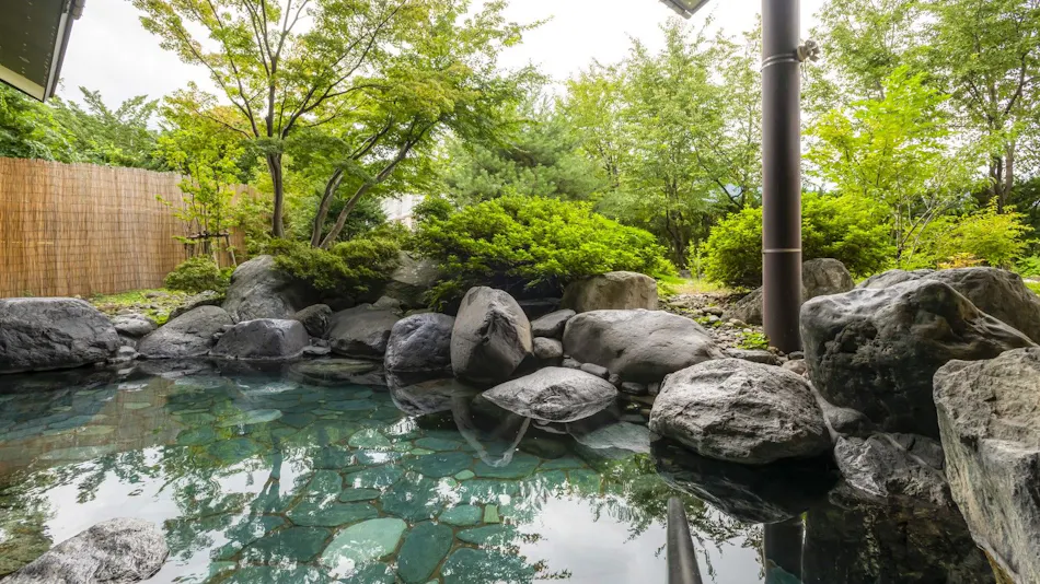 Kurobe View Hotel