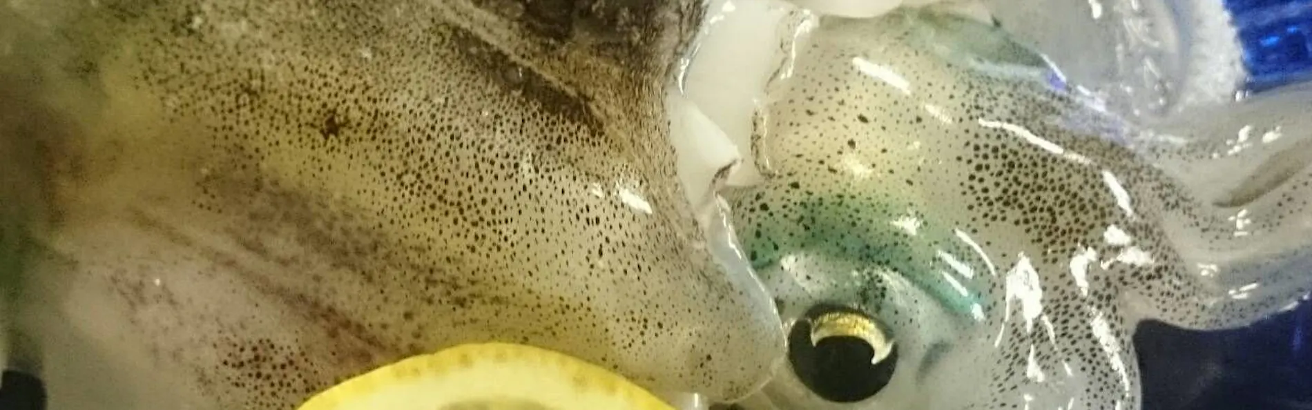 クラフトビールの宿 湖上館パムコ