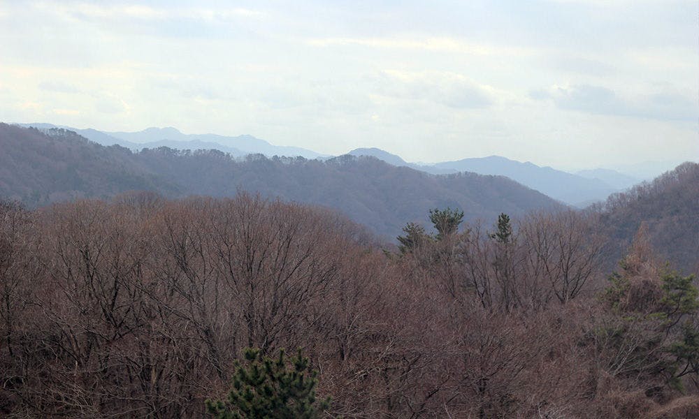 四季の宿　さひめ野