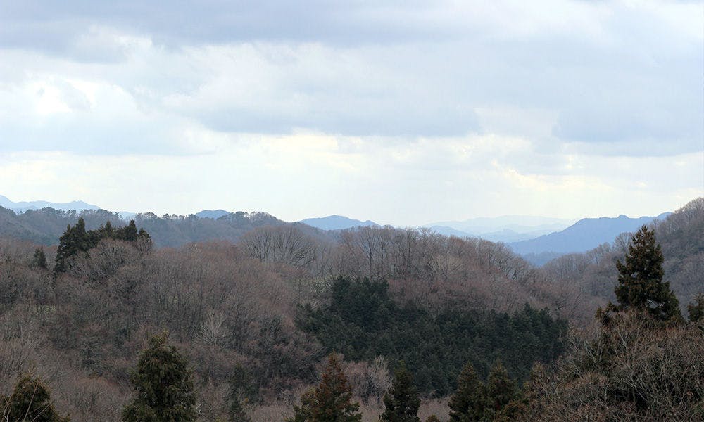 四季の宿　さひめ野