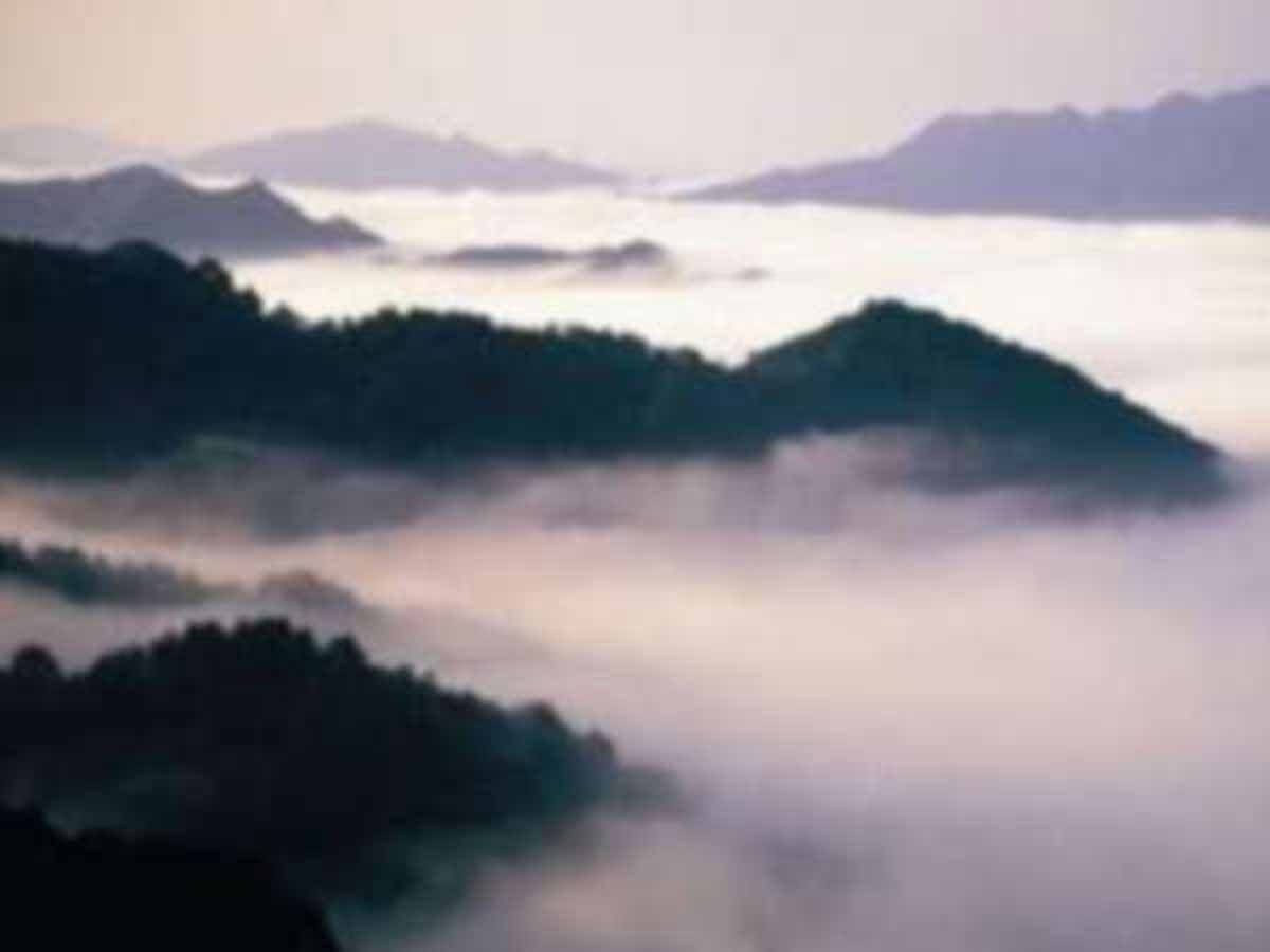 四季の宿　さひめ野