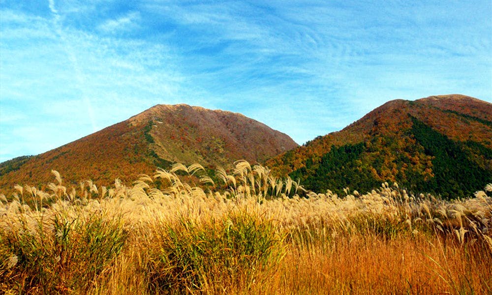 四季の宿　さひめ野