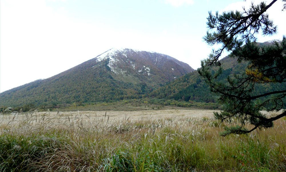 四季の宿　さひめ野