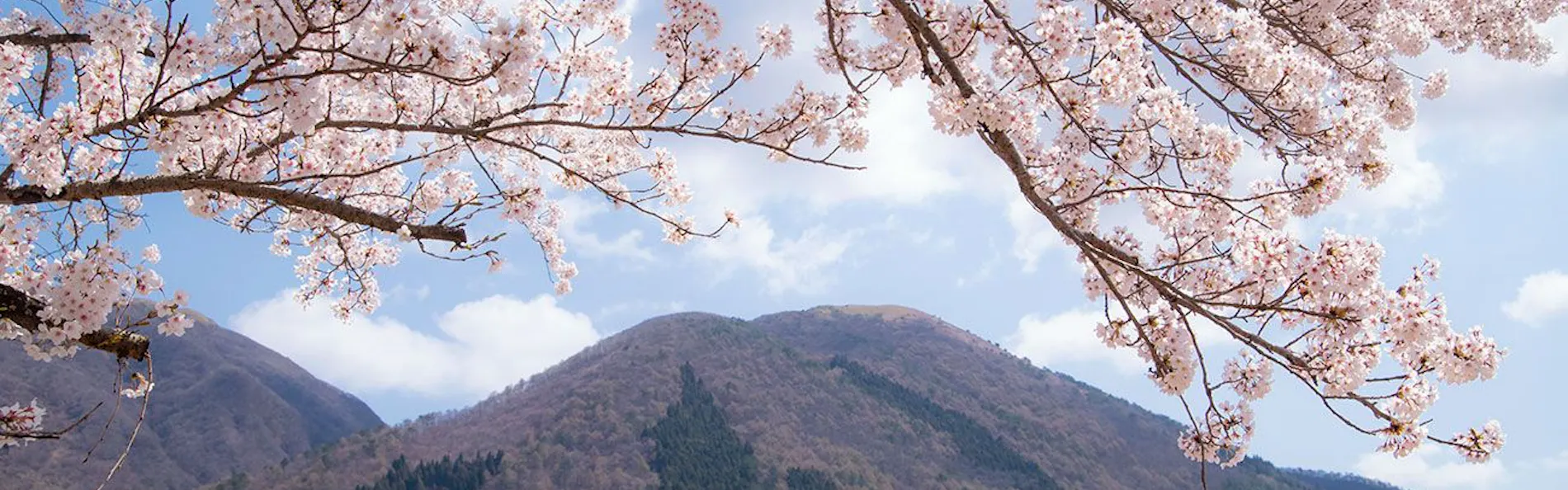 四季の宿 さひめ野