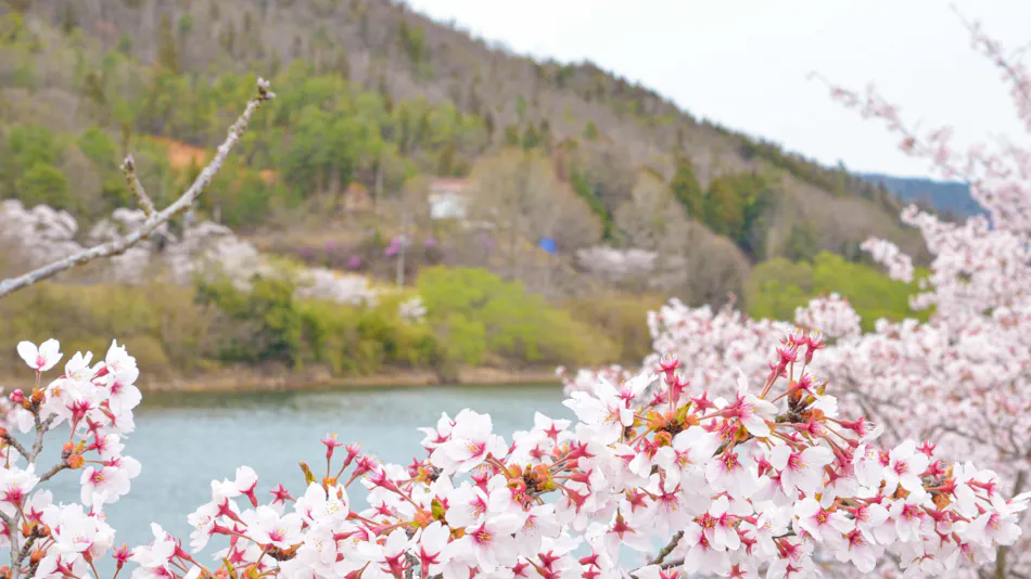 Hotel Hakuryuko Resort