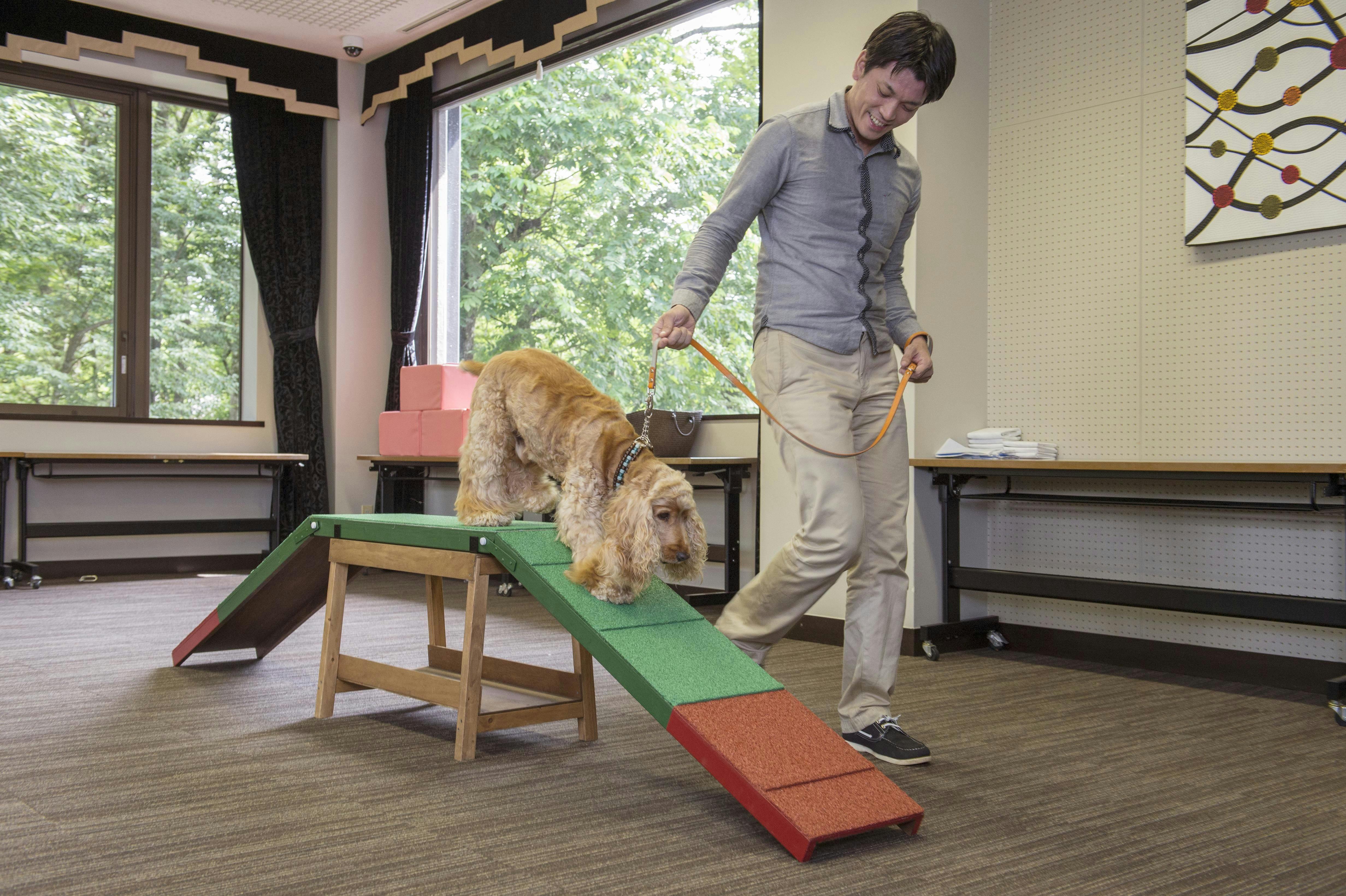 わんわんパラダイス プレミア 山中湖（旧：Wan's Resort 山中湖）