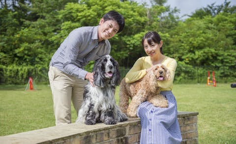 21年最新 山梨周辺でペットと泊まれる宿ランキング 一休 Com 21年最新 山梨周辺でペットと泊まれる宿ランキング 一休 Com