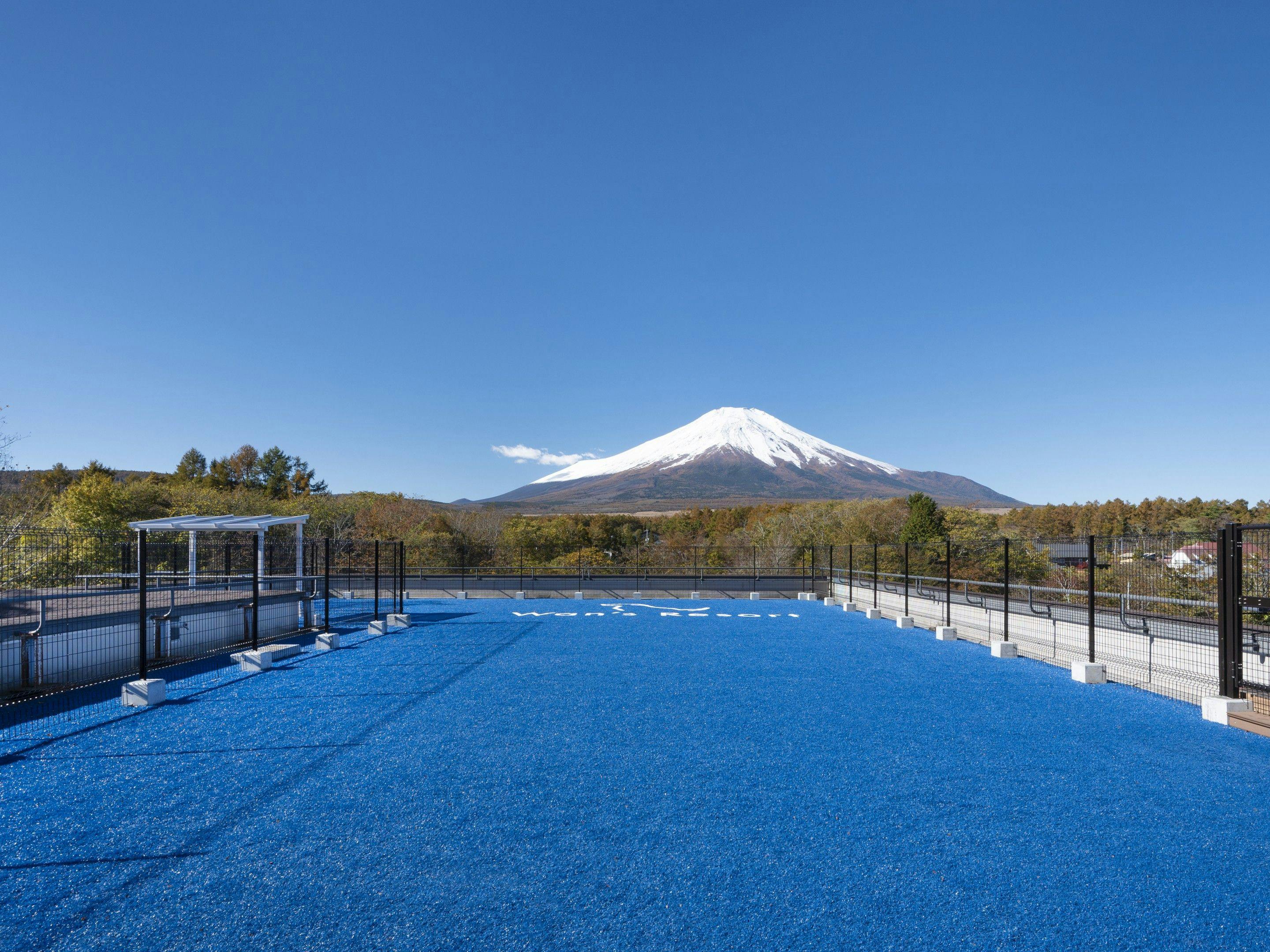 わんわんパラダイス プレミア 山中湖（旧：Wan's Resort 山中湖）