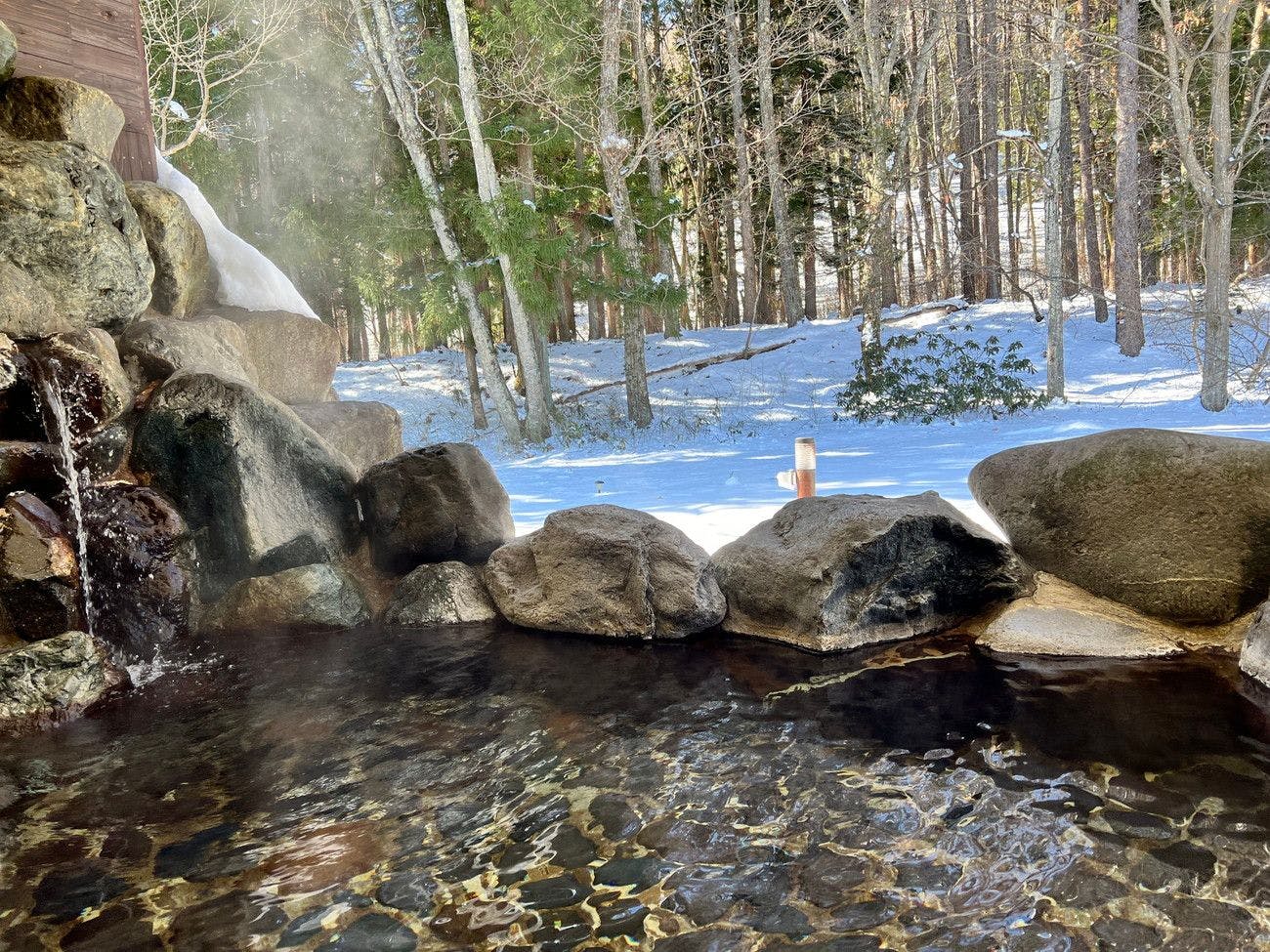 บ่อน้ำพุร้อนกลางแจ้งที่ล้อมรอบด้วยป่า