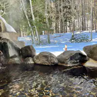 บ่อน้ำพุร้อนกลางแจ้งที่ล้อมรอบด้วยป่า