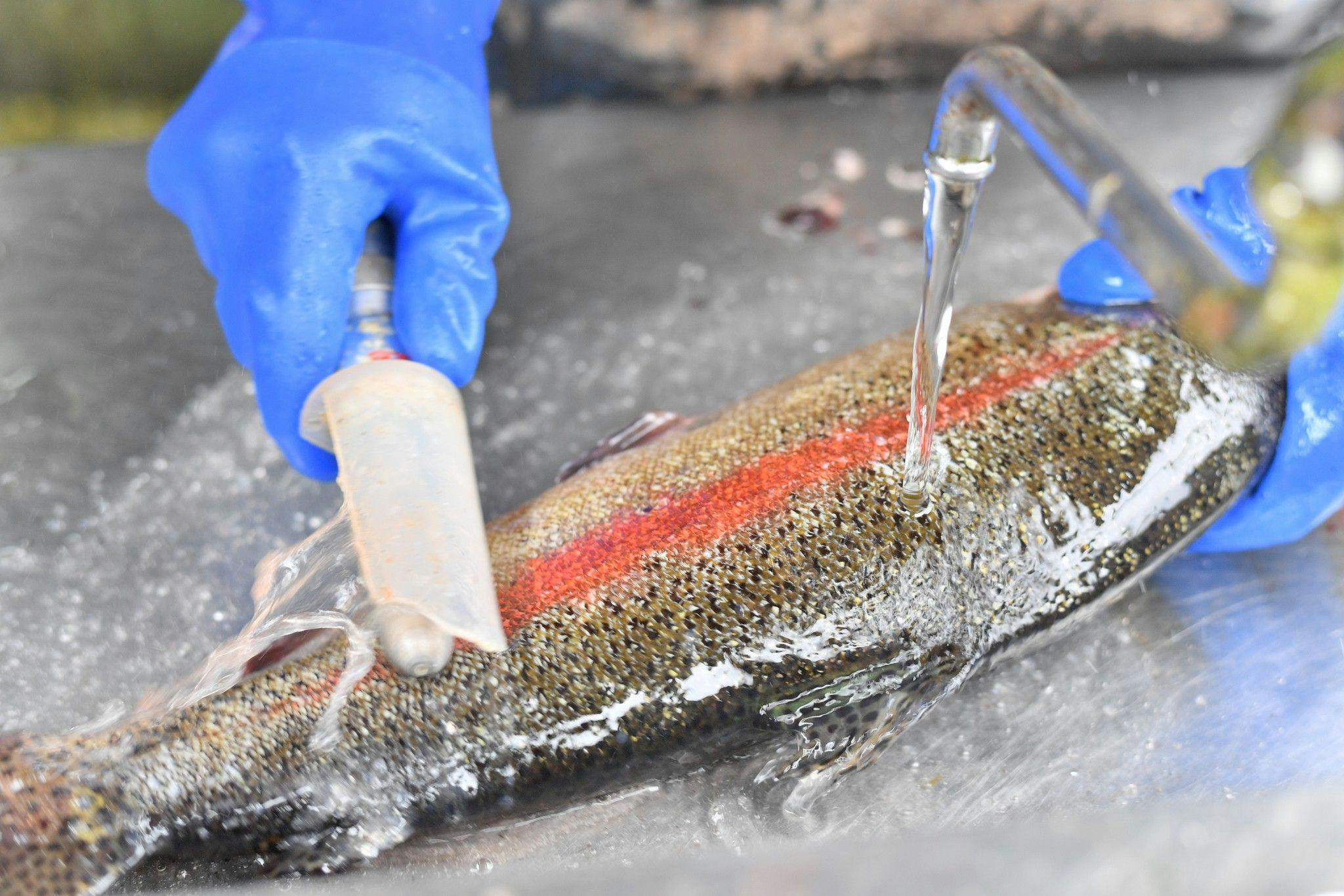 ホテルシェラリゾート湯沢