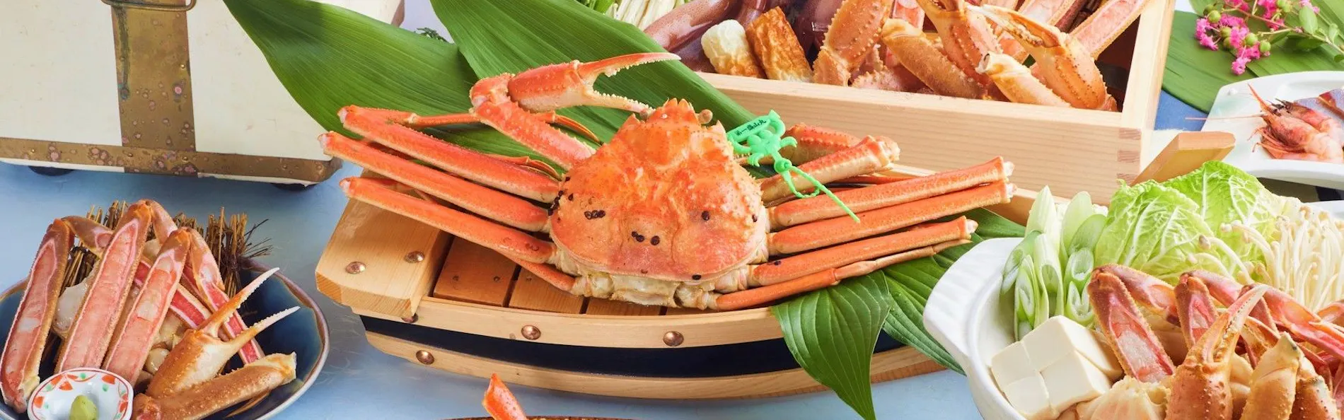 さだ助