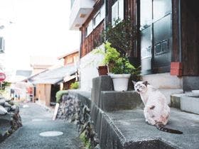 sea-auberge　shitsumi　　海のオーベルジュ志積