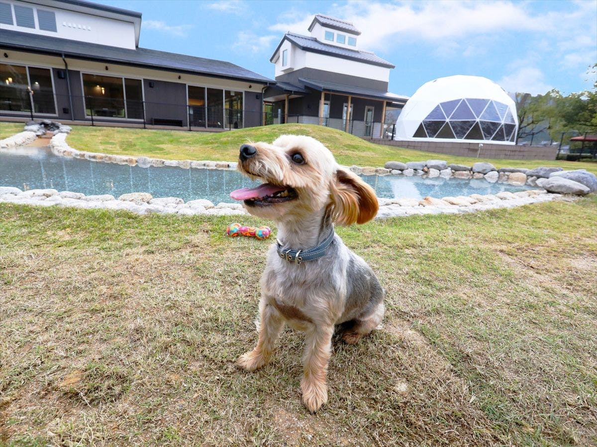 別邸　わんこ日和