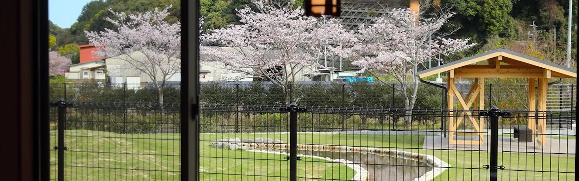 別邸 わんこ日和
