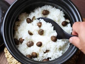 別邸　わんこ日和