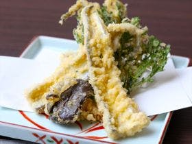 別邸　わんこ日和