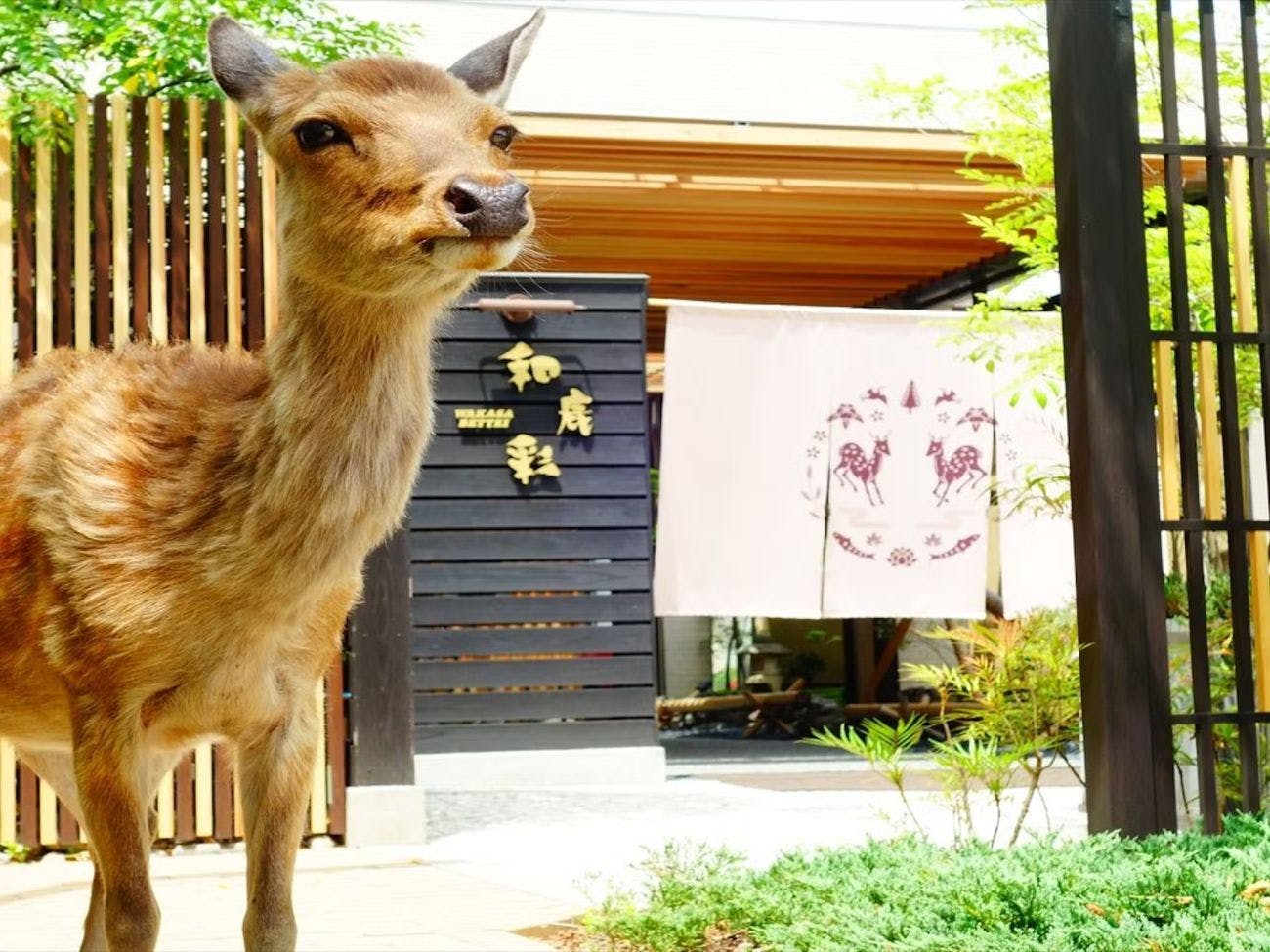 ホテルニューわかさ