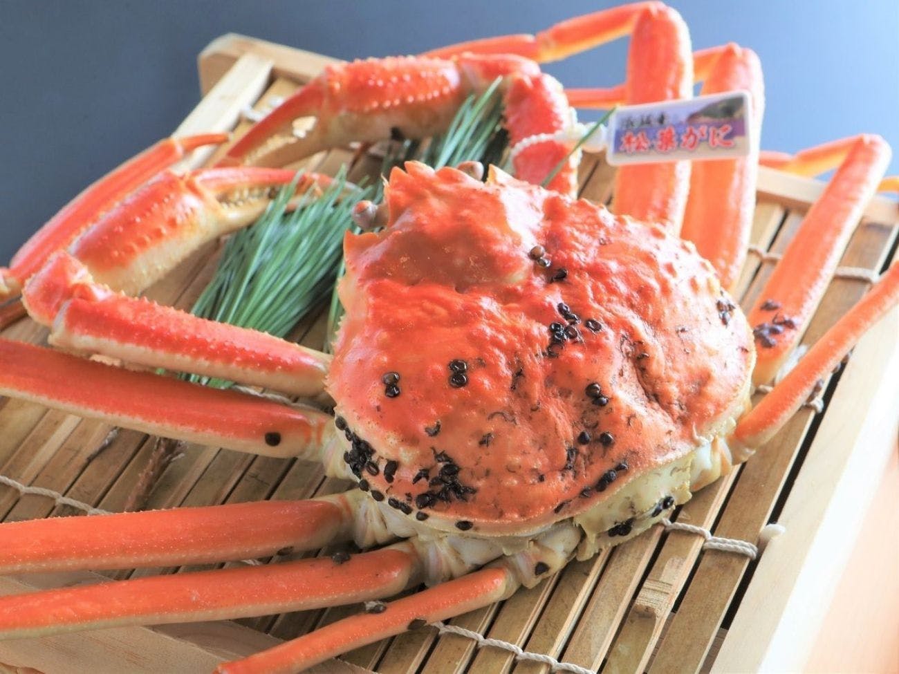 湯村温泉郷　御宿コトブキ