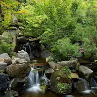 別所温泉 緑屋 メインガーデン
