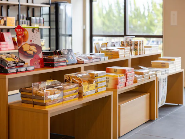 【1泊朝食付き】一日の活力源に、土地食材と先人の知恵で味わう郷土料理-衣紡のおいしい和定食/夕食なし