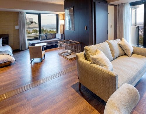 ペット／オーシャン・グレイスツイン