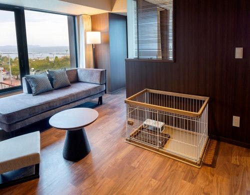 ペット／オーシャン・グレイスツイン