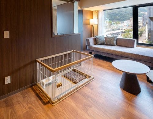 ペット／オーシャン・グレイスツイン