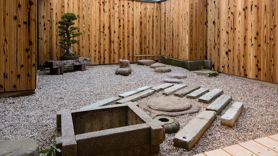 Tsumesho Mikuni
