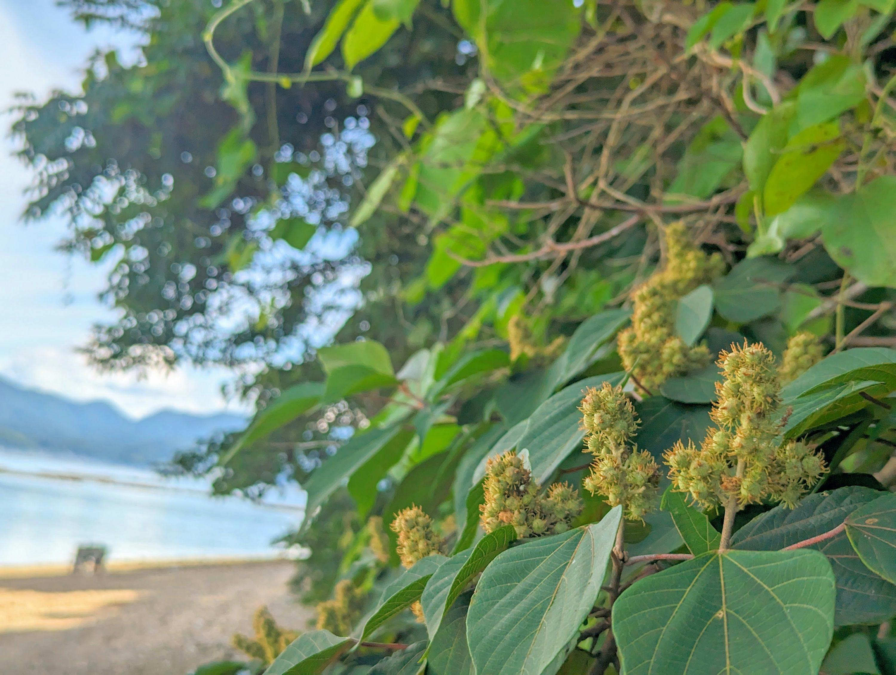 レンタルコテージY51 by the sea